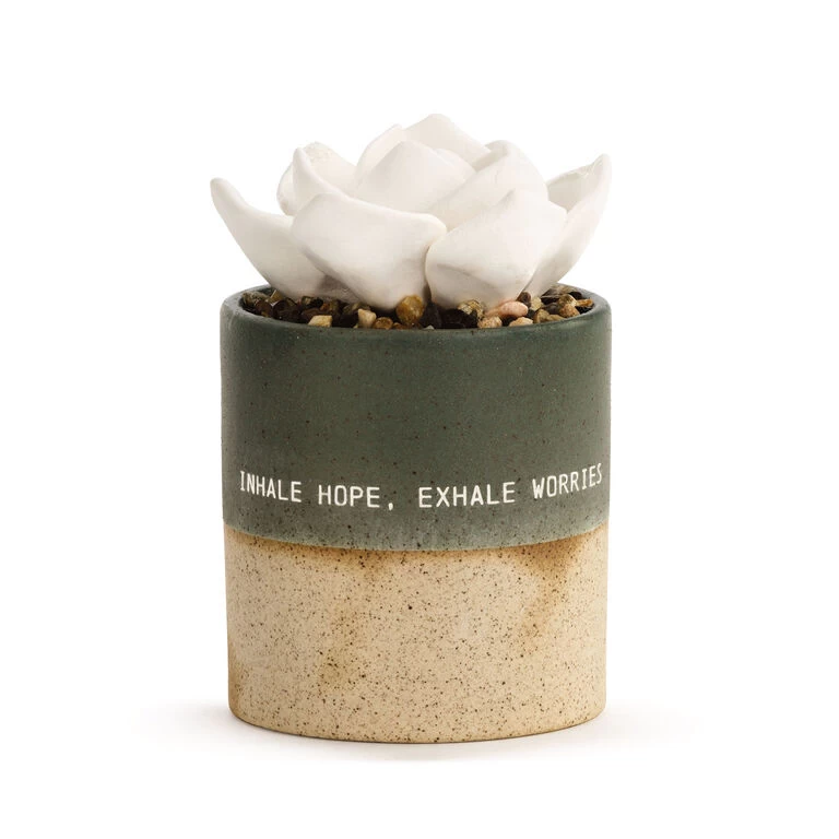Demdaco Hope Succulent Oil Diffuser