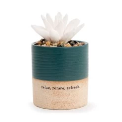 Demdaco Relax Succulent Oil Diffuser